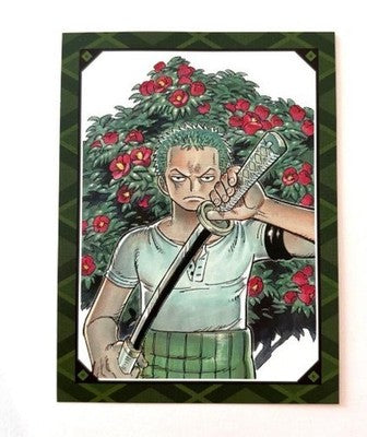 One Piece Novel ZORO - Japanese Edition with Exclusive Zoro Promo Card